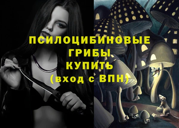 прущий лед Щучье