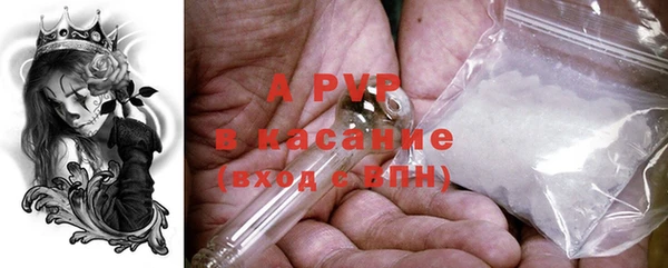 амф Зеленокумск